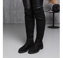 Ботфорты женские зимние Fashion Carrots 3882 37 размер 24 см Черный