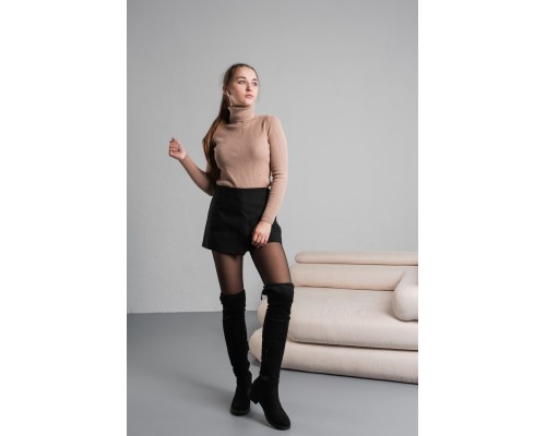 Ботфорты женские зимние Fashion Rocinante 3866 40 размер 25,5 см Черный Ботфорты женские зимние Fashion Rocinante 3866 40 размер 25,5 см Черный